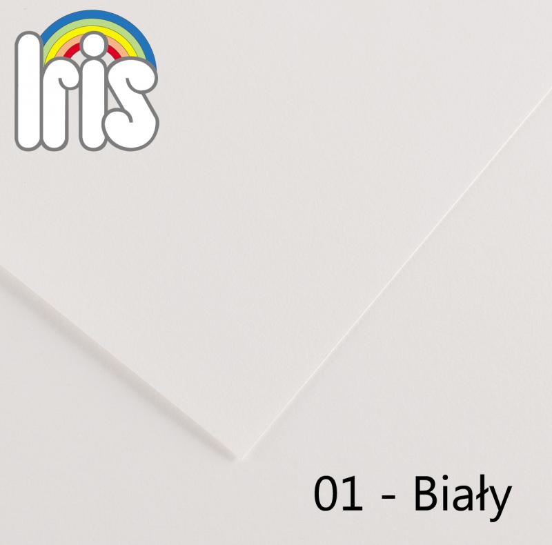 BRYSTOL B1 LYRA BIAŁY A'25 240G