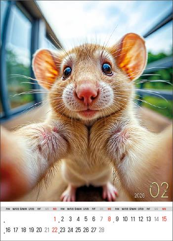 KALENDARZ WIELOPLANSZOWY SELFIE JOTAN STANDARD
