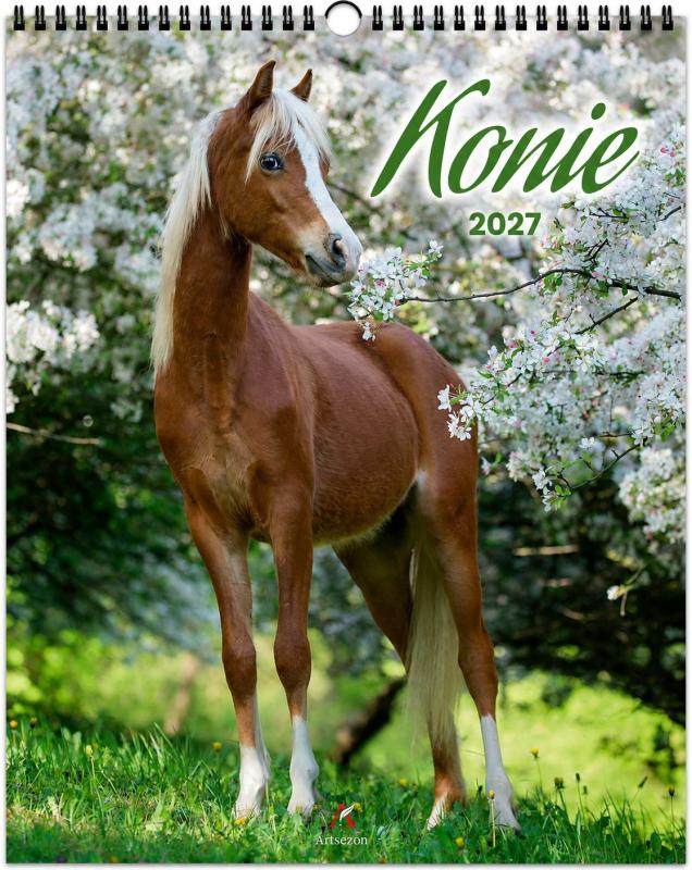 KALENDARZ 7-PLANSZOWY KONIE 34X44 2027