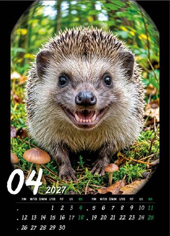 KALENDARZ WIELOPLANSZOWY HAPPY ANIMALS JOTAN STANDARD
