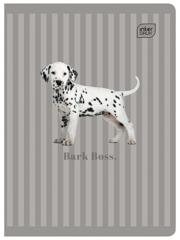 ZESZYT A5/60 # INTER PUPPY SING M 70G