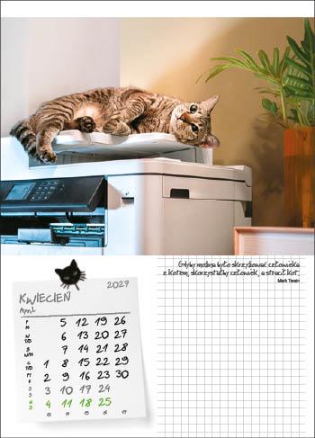 KALENDARZ WIELOPLANSZOWY KOT W BIURZE JOTAN STANDARD