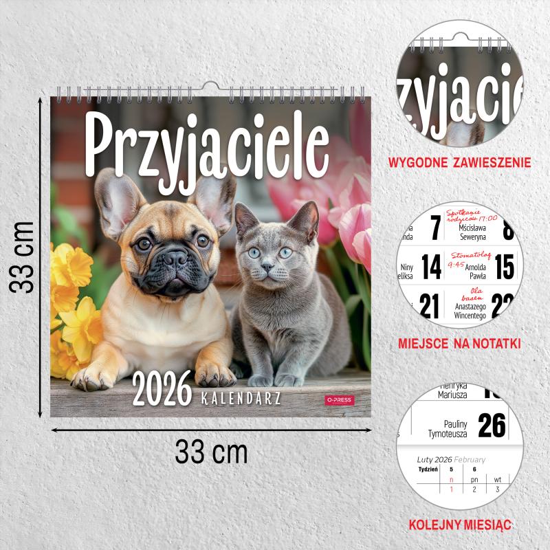 KALENDARZ ŚCIENNY 33X33 PRZYJACIELE AREX SPIRALA
