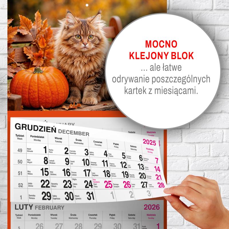 KALENDARZ TRÓJDZIELNY DUŻY AREX MIĘKKI