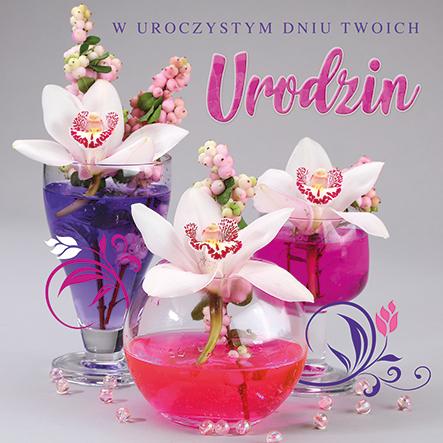 LAURKA KWADRAT POLMAK URODZINY