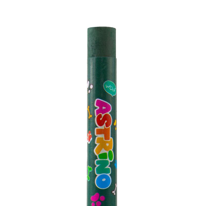 PASTELE OLEJNE ASTRINO - 24 KOL.