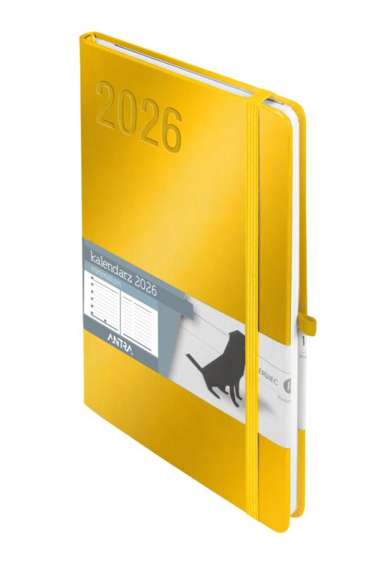 KALENDARZ A5 MINIMALIZM TNS ZŁOTY