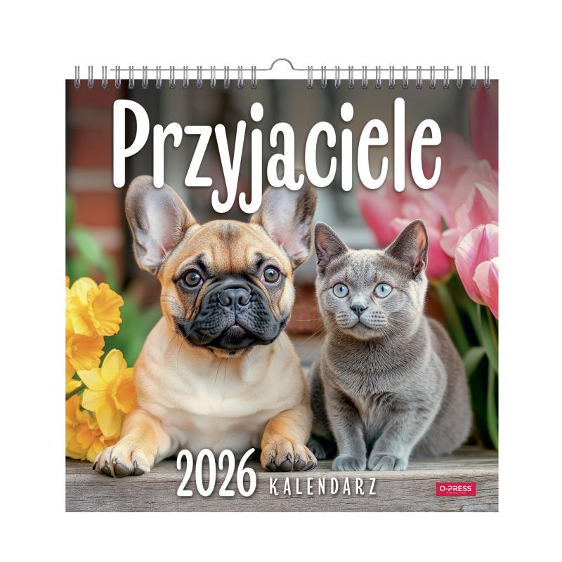 KALENDARZ ŚCIENNY 33X33 PRZYJACIELE AREX SPIRALA