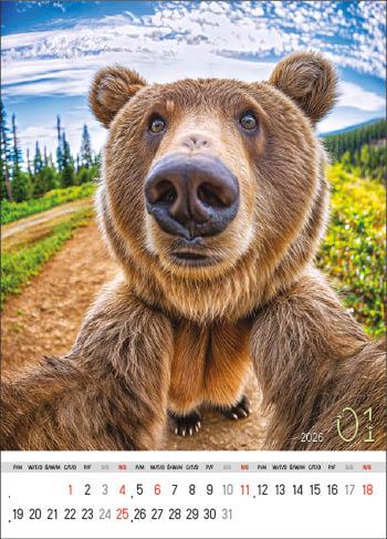 KALENDARZ WIELOPLANSZOWY SELFIE JOTAN STANDARD