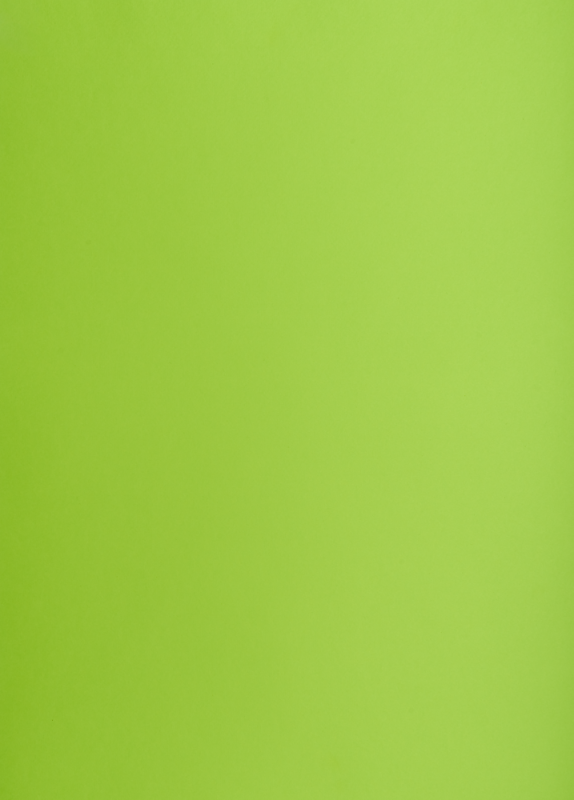 BRYSTOL A3 OXFORD JASNOZIELONY 160G