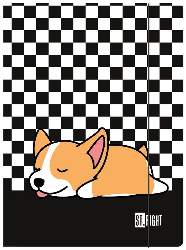 TECZKA Z GUMKĄ A4 SLEEPY CORGI ST.RIGHT 300G