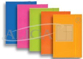 TECZKA LAKIER TL100 ZESTAW II FLUO MIX