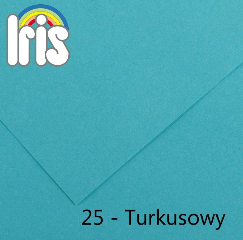 KARTON IRYS VIVALDI A3 185G 25 TURKUS A/50