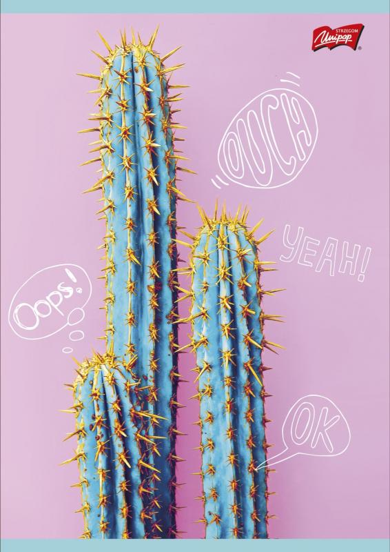 ZESZYT A4/60 # LAMIN.CACTI MAJEWSKI