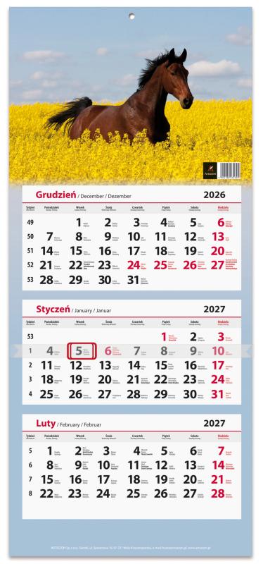 KALENDARZ TRÓJDZIELNY 2027