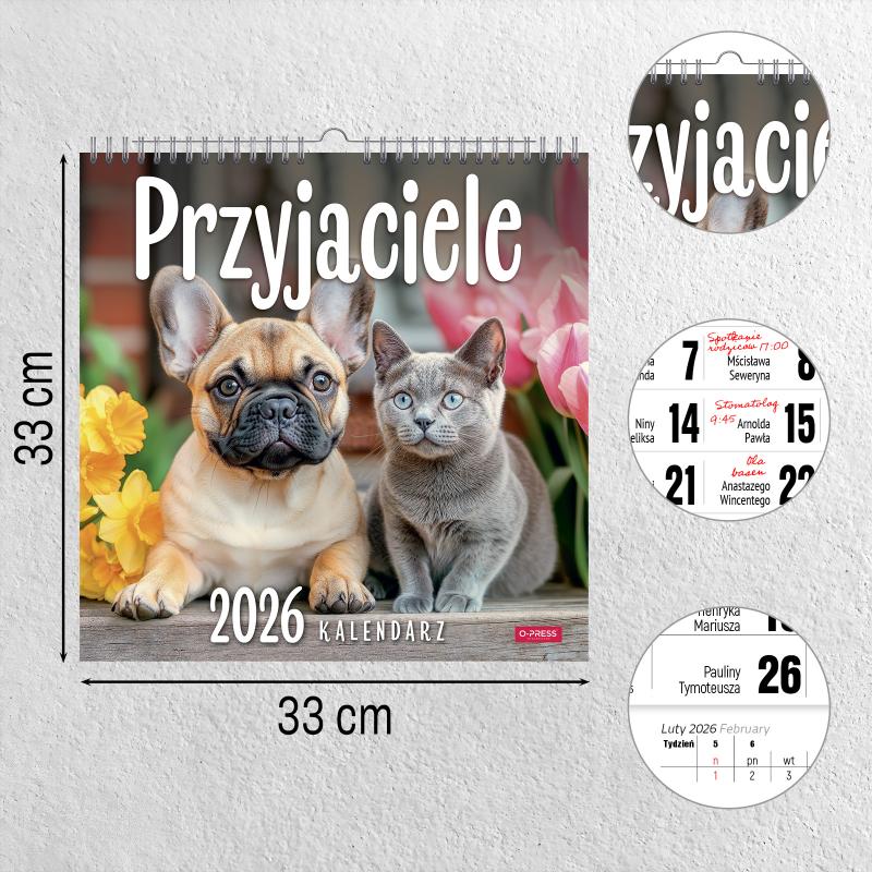KALENDARZ ŚCIENNY 33X33 PRZYJACIELE AREX SPIRALA