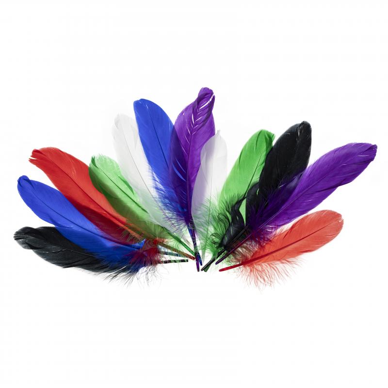 PIÓRKA GĘSIE 15-20 CM JASKRAWY MIX PI5
