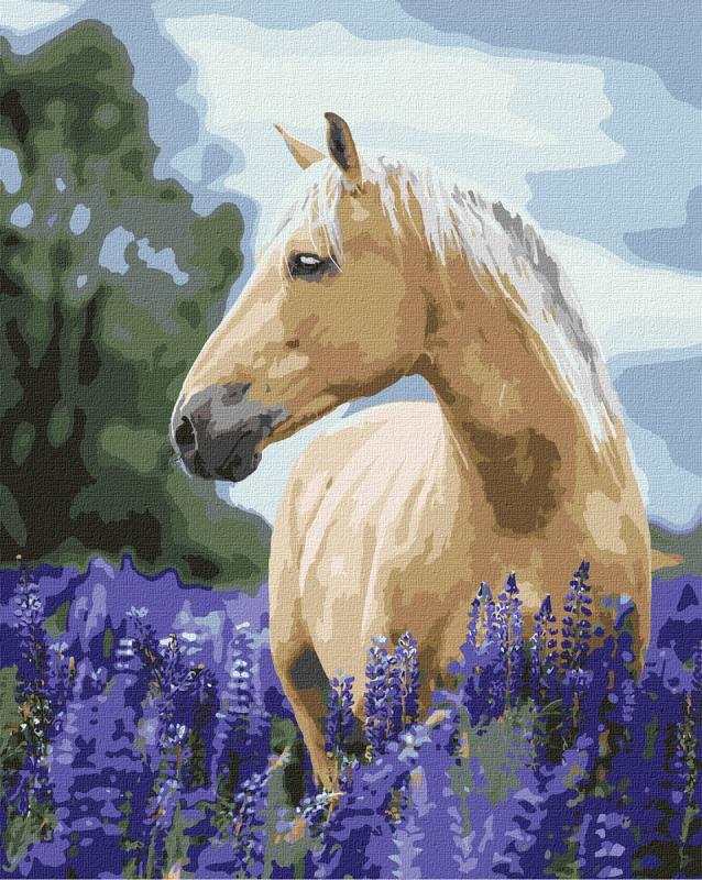 ZESTAW DO MALOWANIA PO NUMERACH SPACER PO LAWENDOWYM POLU 40X50CM