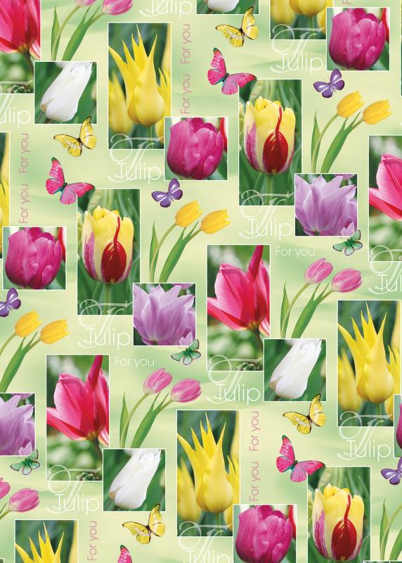 PAPIER OZD.70*100 POLMAK A25 RULON DZIEC
