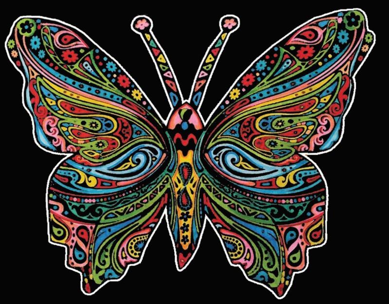 KOLOROWANKA WELWETOWA 47X35 MOTYL