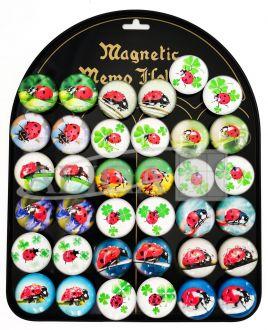 MAGNESY BIEDRONKI A36 BLISTER MG-7592
