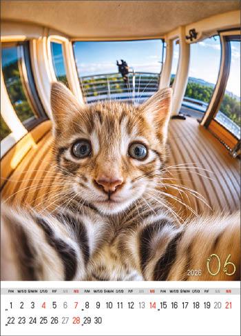 KALENDARZ WIELOPLANSZOWY SELFIE JOTAN STANDARD