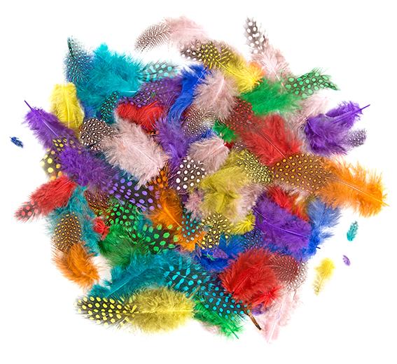 PIÓRKA BAŻANTA 4-7CM 10G BRIGHTS