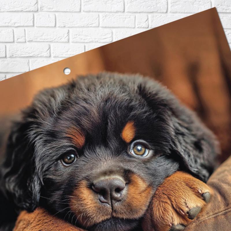 KALENDARZ MIESIĘCZNY AREX