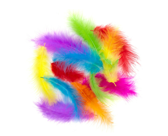 PIÓRA INDYCZE 10-15CM 30SZT BRIGHTS