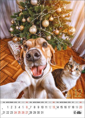 KALENDARZ WIELOPLANSZOWY SELFIE JOTAN STANDARD