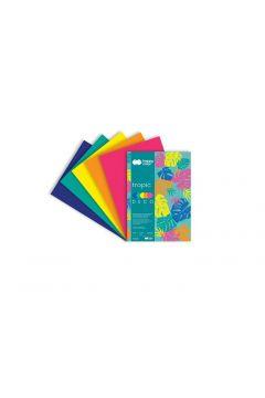 BLOK DECO A4/20 TROPIC 170G 5KOL