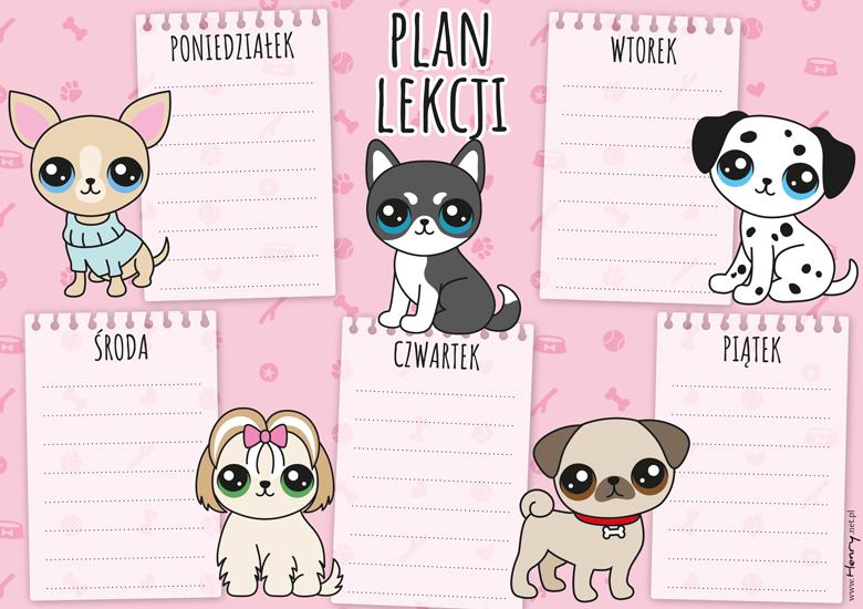 PLAN LEKCJI A5 PIESKI