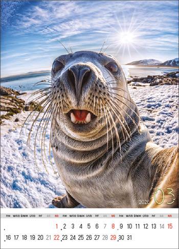 KALENDARZ WIELOPLANSZOWY SELFIE JOTAN STANDARD