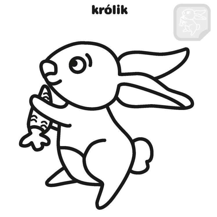 KSIĄŻECZKA NAKLEJAM KOLORUJĘ-WIEŚ