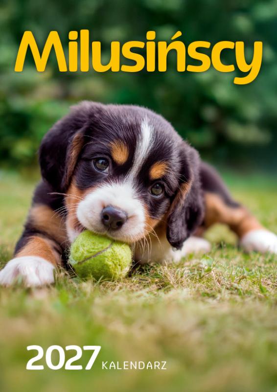 KALENDARZ ŚCIENNY A4 MILUSIŃSCY AREX