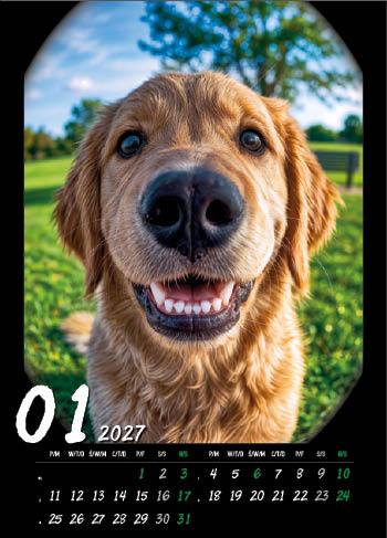 KALENDARZ WIELOPLANSZOWY HAPPY ANIMALS JOTAN STANDARD