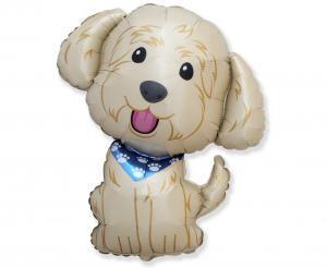 BALON FOLIOWY 24 FX PIES COBBERDOG