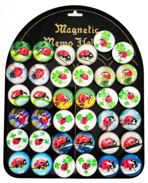 MAGNESY BIEDRONKI A36 BLISTER MG-7592