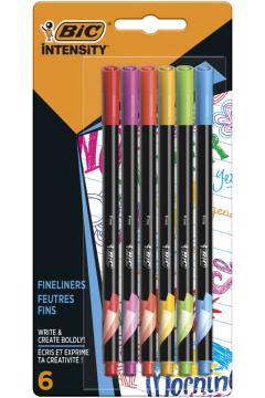 CIENKOPIS BIC INT FINE RAINBOW A'6