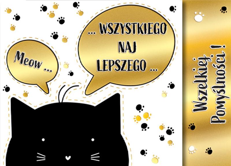 KARNET B6 SKŁADANY KOTY