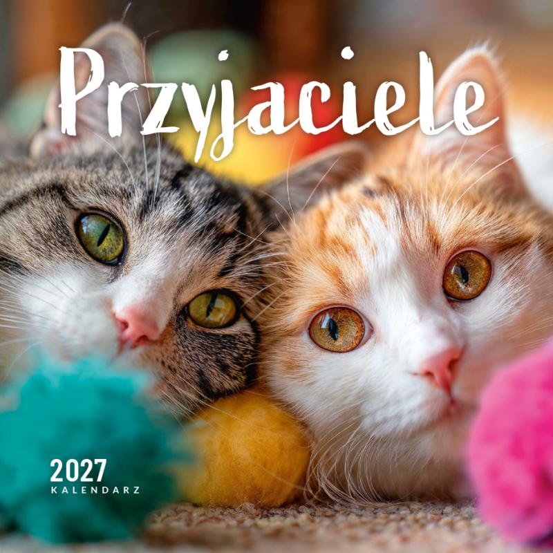 KALENDARZ KWADRAT PRZYJACIELE AREX