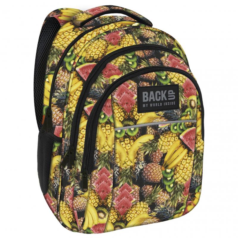 PLECAK BACKUP 2 MODEL H 29