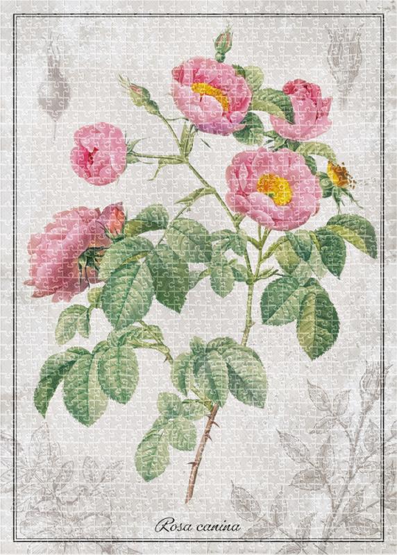 PUZZLE 1000 BOTANIC ROSE