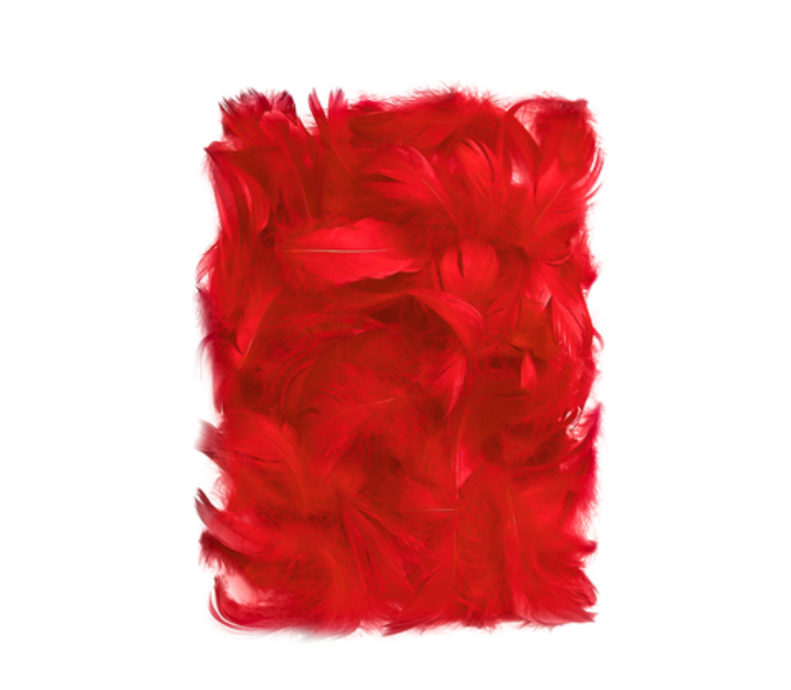 PIÓRKA 5-12CM RED 10G