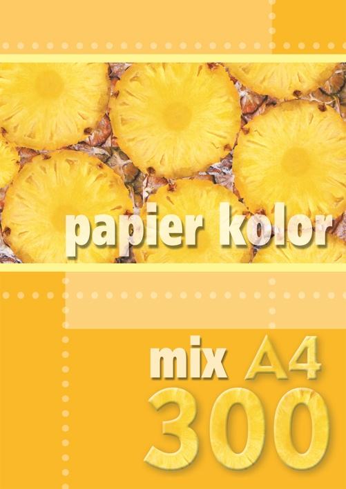 PAPIER KS.A4/300 MIX KRESKA