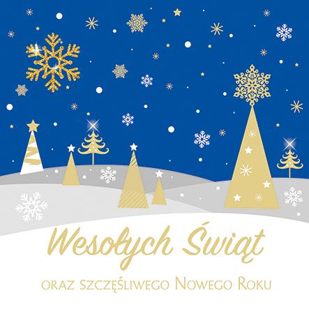 LAURKA POLMAK KWADRAT FIRMOWA #ŚWIĘTA