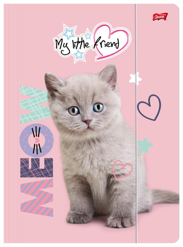 TECZKA Z GUMKĄ A4 MY LITTLE FRIEND FLUFFY KITTY