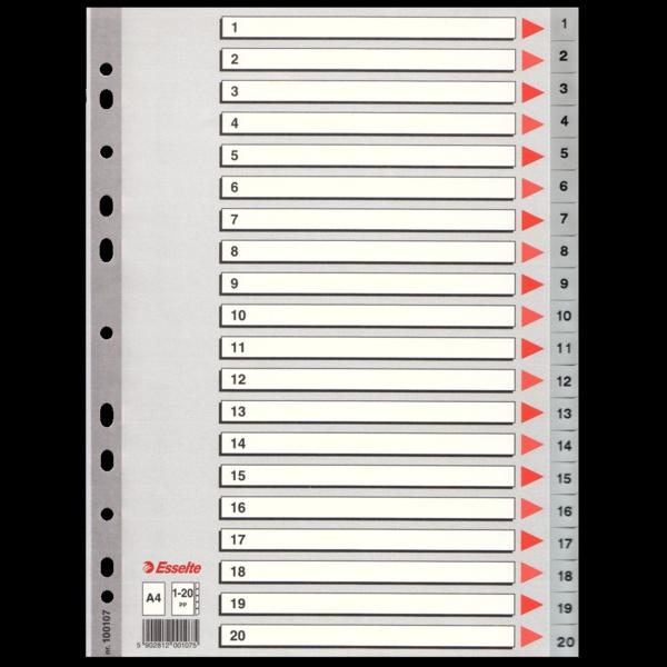PRZEKŁADKI ESSELTE 1-20 A4 PP SZARE