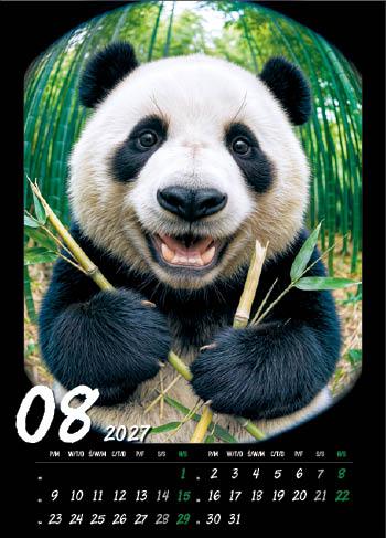 KALENDARZ WIELOPLANSZOWY HAPPY ANIMALS JOTAN STANDARD