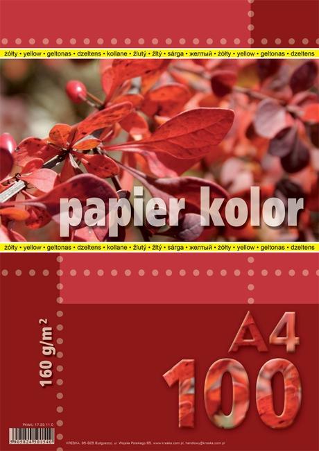 PAPIER KS.A4/100 160G ŻÓŁTY KRESKA